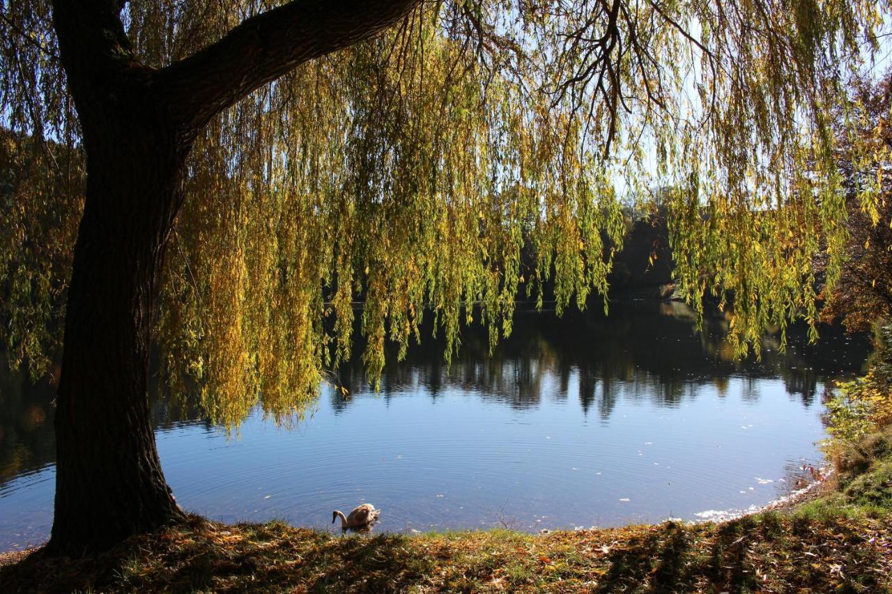 Ferienwohnungen Eifelstuben Mit Charme - Am See, Nahe Burg 우멘 외부 사진