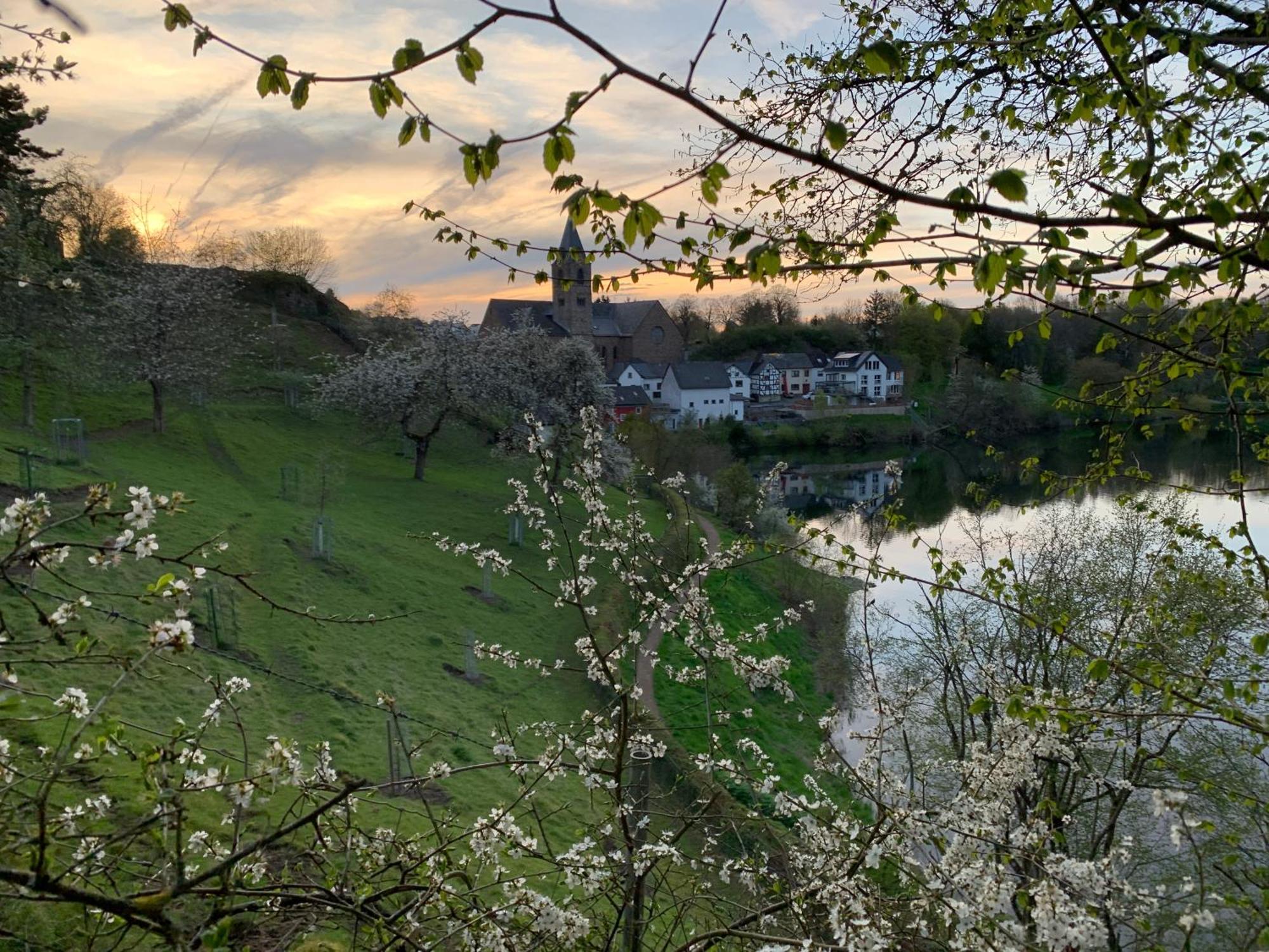 Ferienwohnungen Eifelstuben Mit Charme - Am See, Nahe Burg 우멘 외부 사진